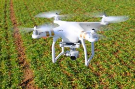 Praktické využití dronu při monitorování pozemku s pšenicí ozimou. Už první přelet dokázal odhalit problémy