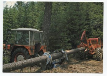 Postupné odvětvování stromů protahovacím odvětvovacím strojem OVP 1