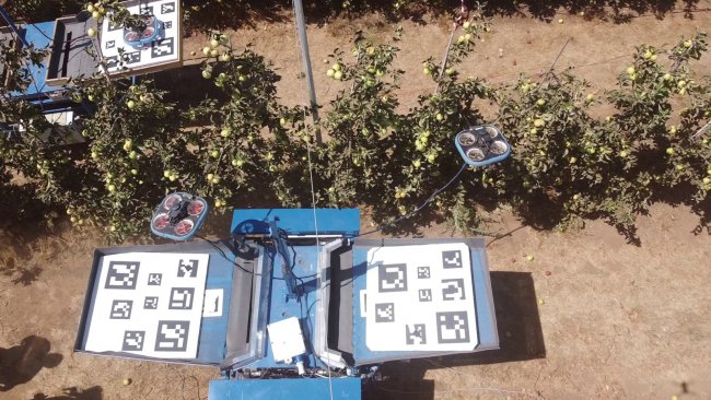 Automatizovaný systém sběru ovoce