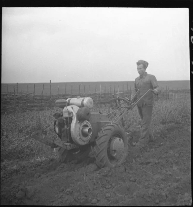 Práce na poli s motorobotem SOT – rok 1952.