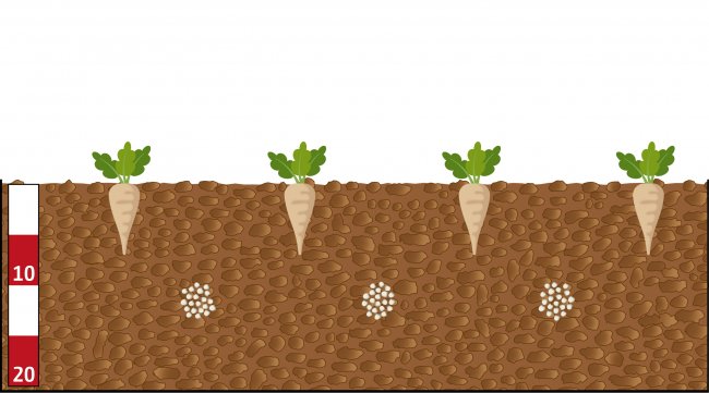 FertiSpot nově umožňuje ukládání hnojiva mezi osivo.
