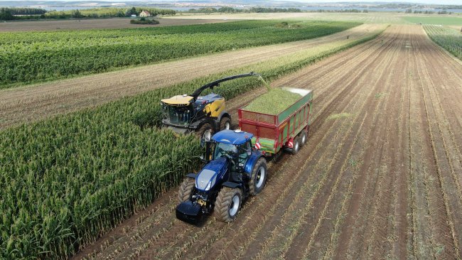 Neporazitelné trio návěs Strautmann Aperion v agregaci s traktorem New Holland T7.315AC edice BluePower a řezačka New Holland FR650 ve službách zemědělcům v Bulharech na jižní Moravě.