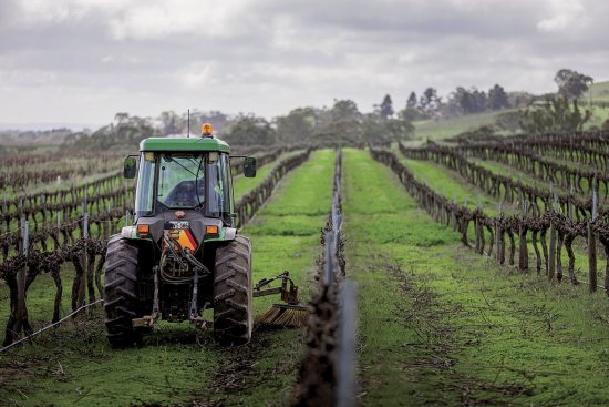 Společnost Topcon Agriculture má nově ve své nabídce systém automatického řízení Value Line Steering určený pro zemědělce používající traktory střední třídy na malých a středních farmách.