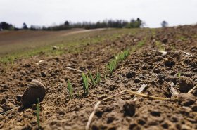 Současné trendy zpracování půdy aneb půda jako důležitý přírodní zdroj