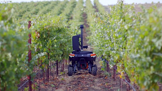 Kubota All-Terrain Robot při práci ve vinici